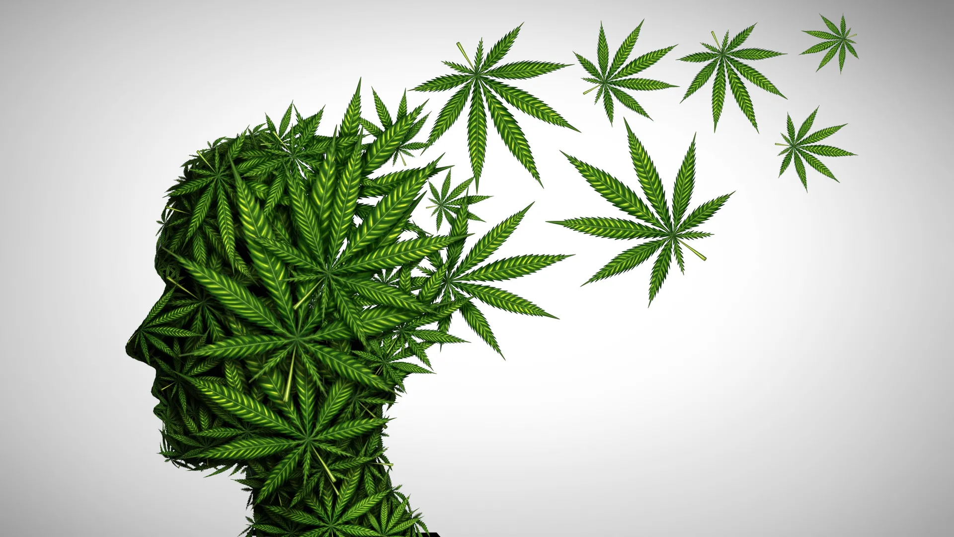 human head made out of marijuana leaves